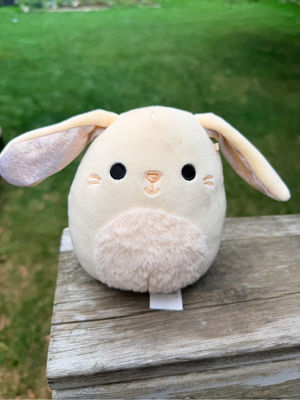 SQUISHMALLOWS Fuzzy Belly Hara Bunny Plush Small
